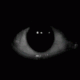 Guest_vampyrr