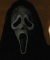 Guest_xcyns