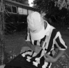 Guest_william07
