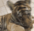 Guest_cam832896