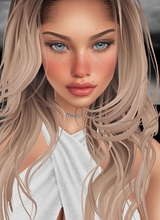 Guest_Palandice