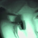 Guest_RSPR