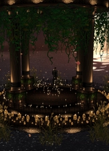 Guest_RAYHEART