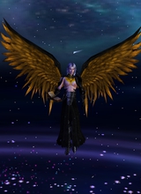 Guest_Vizel1