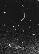 Guest_Asteromata1
