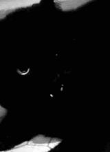 Guest_kittyyyyyyyy