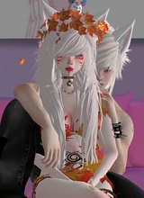 KitsuneVulpes