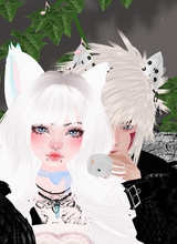 KitsuneVulpes