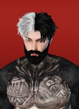 avatar-billede