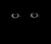 Guest_felpezx00