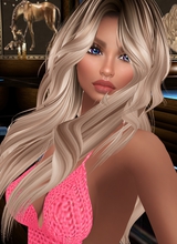 journee498476
