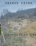 GOLANi