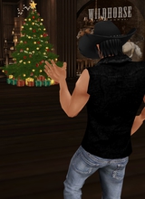 RyanSkyWolf