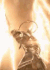 Guest_goldenpoppyarmyg98e5