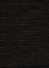 XoDarkFireXo