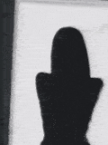 evy1iy