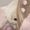Guest_IllIII