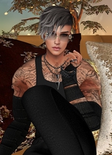 XxIceHeartxX