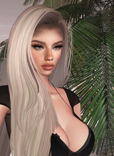 Guest_xJadex6