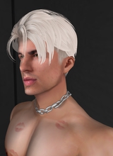Guest_Max377341