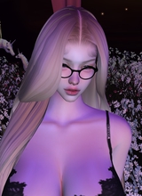 Guest_ib137566