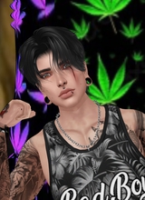 avatar-billede