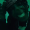 Guest_smoggydarkturquo01d8