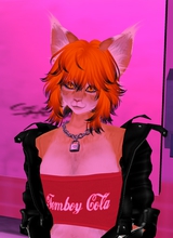 Guest_errorcat1