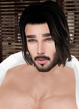 Guest_Roghi