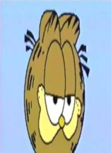 Guest_DynamicHoneyDuck