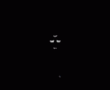 avatar resmi