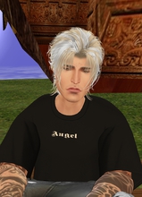 Guest_Rodonel2