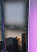Guest_0mni4