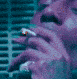 immagine avatar