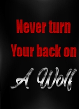 PinkThunderWolf
