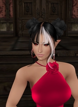Guest_freshstart2026