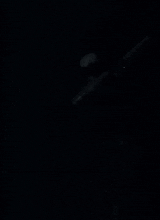 Guest_D3XT3RY