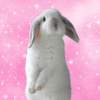 Guest_eluvin