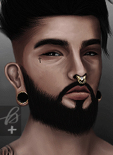 Guest_Bercco