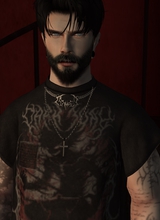 Zhest