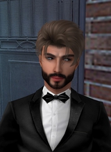 Guest_OmidArman