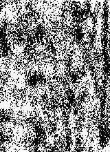Guest_q495