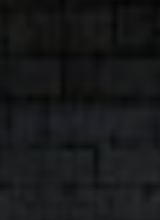 Guest_Stake3