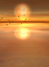 Guest_AcuarelA2