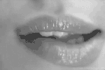 Guest_Eve3469