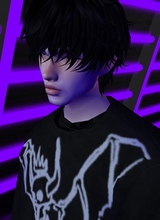xMaveric