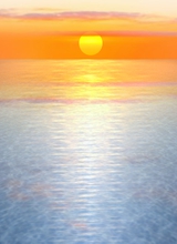 Guest_Rib36
