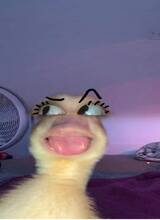 Guest_Razzziz