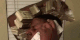 Guest_FTBMavo