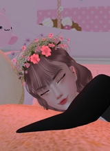 Guest_blanani
